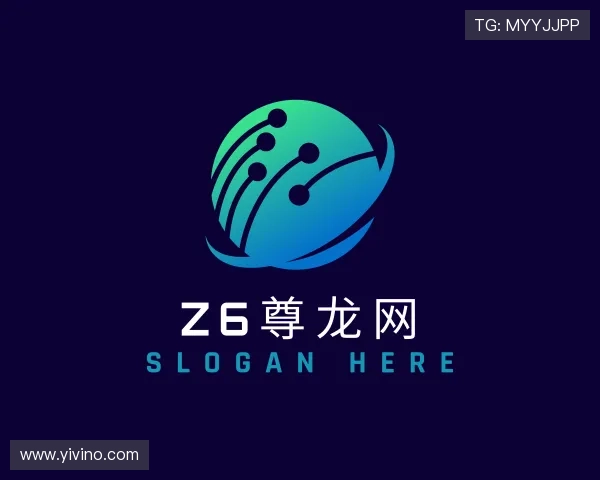 发现Z6尊龙网